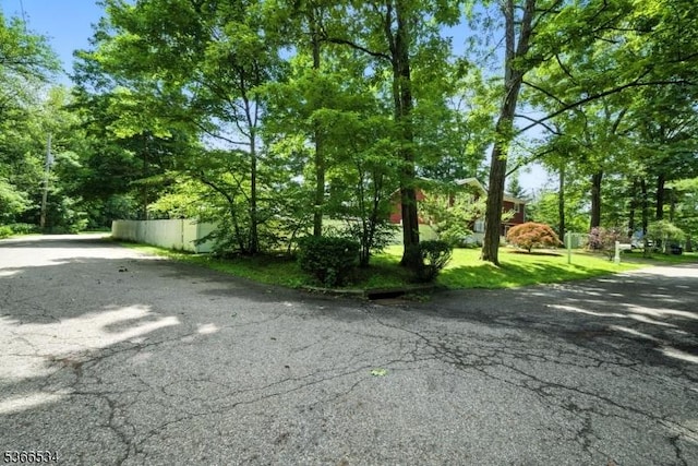 54 Pine Ln, West Milford Twp, NJ 07480 - view of road