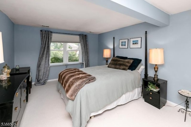 11 Killdeer Dr, Allamuchy Twp, NJ 07840 - bedroom with light carpet and baseboards