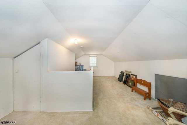 21 Benton Rd, Blairstown Twp, NJ 07832 - additional living space with carpet and vaulted ceiling