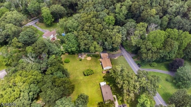 21 Benton Rd, Blairstown Twp, NJ 07832 - view of property location with a heavily wooded area