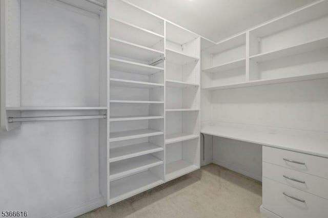 7 Prospect St Unit 510, Morristown Town, NJ 07960 - walk in closet with light carpet