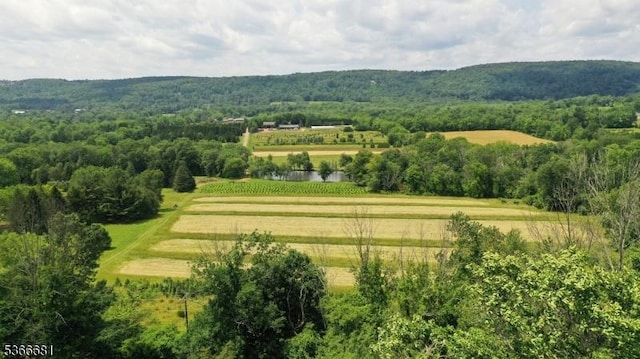 306 W Valley Brook Rd, Washington Twp, NJ 07830 - overview of rural landscape with a forest