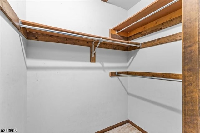 31 Casper Berger Rd, Readington Twp, NJ 08889 - view of spacious closet