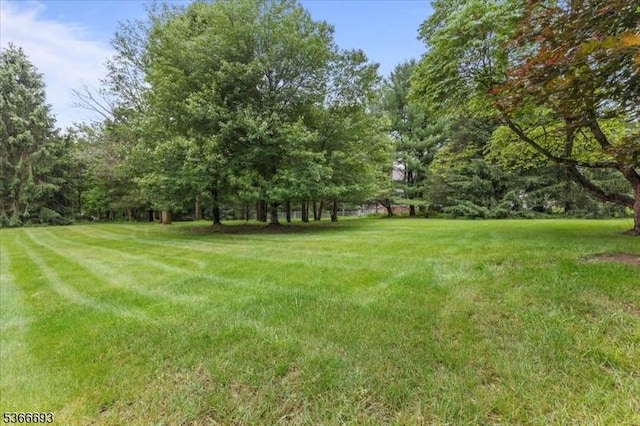 31 Casper Berger Rd, Readington Twp, NJ 08889 - view of grassy yard