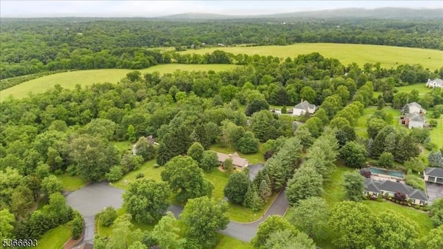 31 Casper Berger Rd, Readington Twp, NJ 08889 - bird's eye view of a heavily wooded area