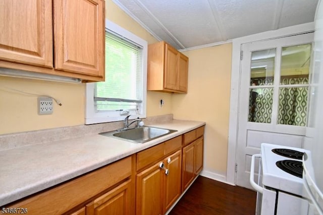 55 Taylor Rd, Jefferson Twp, NJ 07885 - kitchen featuring white electric range oven, light countertops, dark wood finished floors, and crown molding