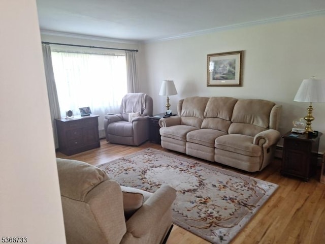 21 Fagan Pl, Woodbridge Twp, NJ 07067 - living room with ornamental molding and light wood-style flooring