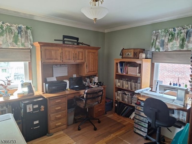 21 Fagan Pl, Woodbridge Twp, NJ 07067 - office with light wood-style floors and crown molding