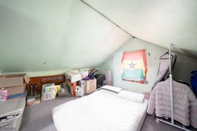 129 Ball St, Irvington Twp, NJ 07111 - carpeted bedroom featuring lofted ceiling