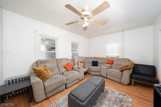 129 Ball St, Irvington Twp, NJ 07111 - living area featuring crown molding, light wood-type flooring, and a ceiling fan