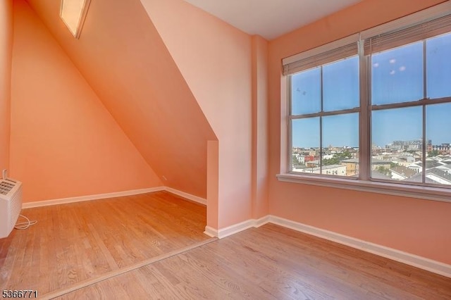 54 Polk Unit P3, Newark City, NJ 07105 - additional living space featuring wood finished floors and a city view