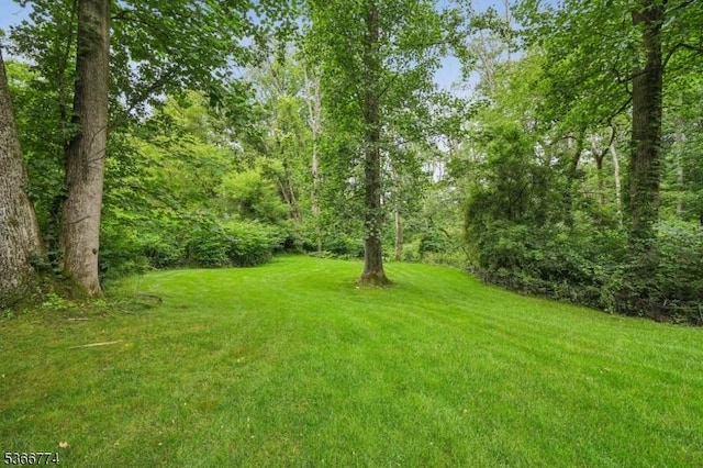 159 Kings Hwy, Washington Twp, NJ 07853 - view of grassy yard with a wooded view