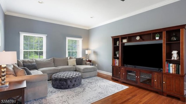 31 Burniston Ct, Hillsborough Twp, NJ 08844 - living area featuring wood finished floors and crown molding