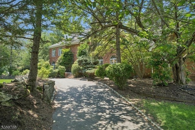 17 N Ridge Rd, Denville Twp, NJ 07834 - surrounding community with driveway