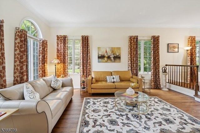 17 N Ridge Rd, Denville Twp, NJ 07834 - living room featuring dark wood finished floors, ornamental molding, and healthy amount of natural light