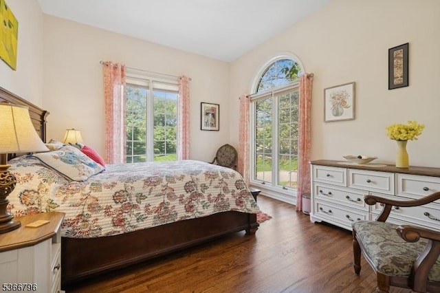 17 N Ridge Rd, Denville Twp, NJ 07834 - bedroom featuring multiple windows and dark wood-type flooring