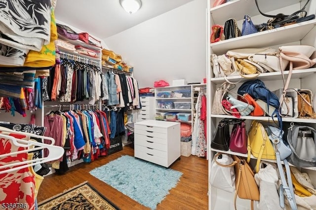 17 N Ridge Rd, Denville Twp, NJ 07834 - walk in closet featuring wood finished floors