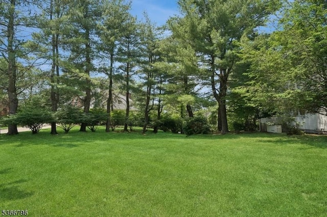 17 N Ridge Rd, Denville Twp, NJ 07834 - view of green lawn