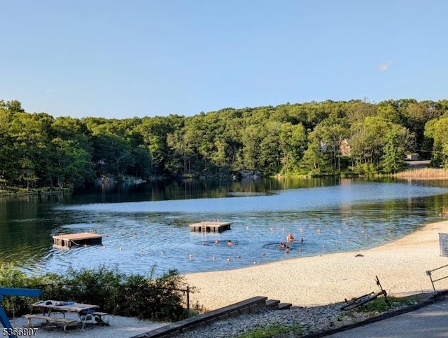 4 Panorama Dr, Vernon Twp, NJ 07461 - water view featuring a heavily wooded area