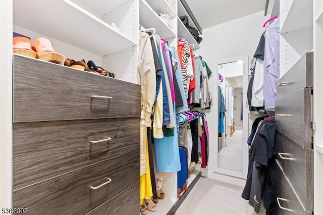 6 Elston Ct, Wanaque Boro, NJ 07420 - view of walk in closet