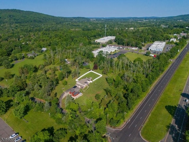 417 Mountain Rd, Readington Twp, NJ 08833 - aerial view of property and surrounding area featuring a heavily wooded area