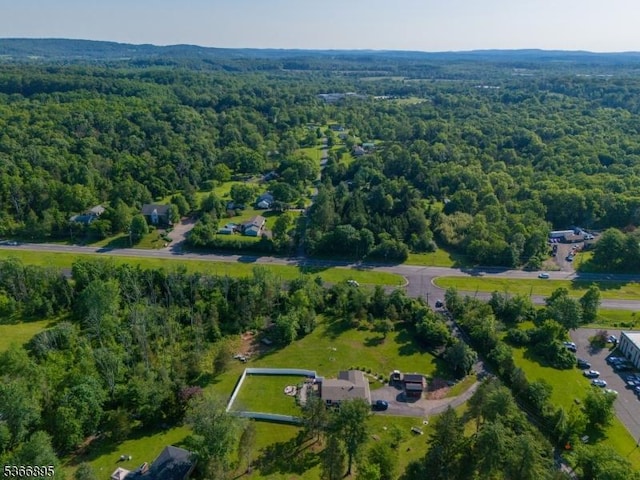 417 Mountain Rd, Readington Twp, NJ 08833 - aerial view of property's location with a forest