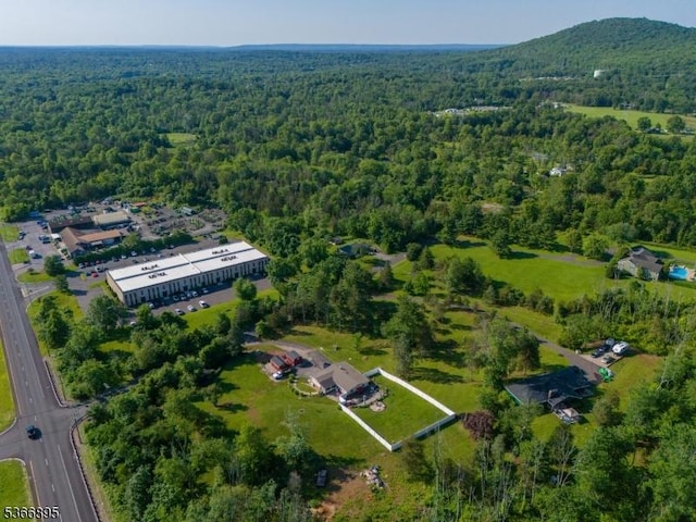 417 Mountain Rd, Readington Twp, NJ 08833 - view of property location with a heavily wooded area
