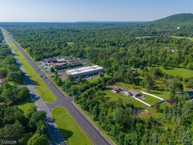 417 Mountain Rd, Readington Twp, NJ 08833 - aerial view of property's location with a forest