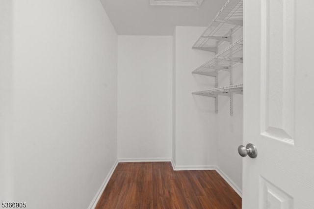 4106 Dilts Ln, Bridgewater Twp, NJ 08807 - walk in closet with wood finished floors