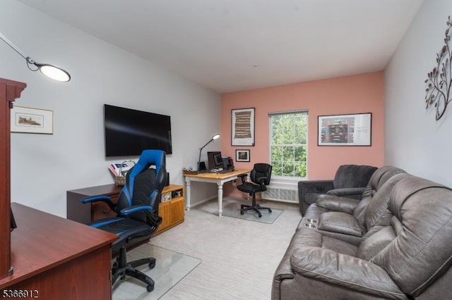 2 Richmond Rd Unit 214, West Milford Twp, NJ 07480 - office area with carpet flooring