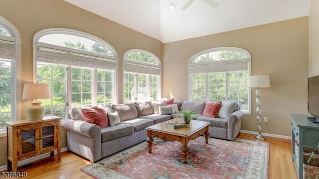 24 Montfort Dr, Montgomery Twp, NJ 08502 - living area with light wood-style flooring and high vaulted ceiling