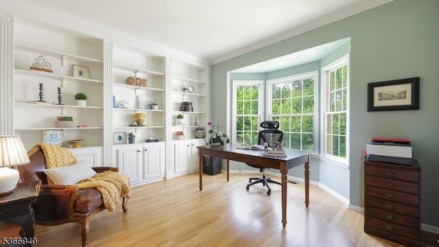 24 Montfort Dr, Montgomery Twp, NJ 08502 - office area featuring light wood finished floors, crown molding, and built in shelves