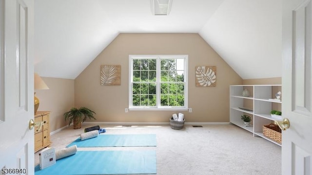 24 Montfort Dr, Montgomery Twp, NJ 08502 - bonus room featuring carpet flooring and vaulted ceiling
