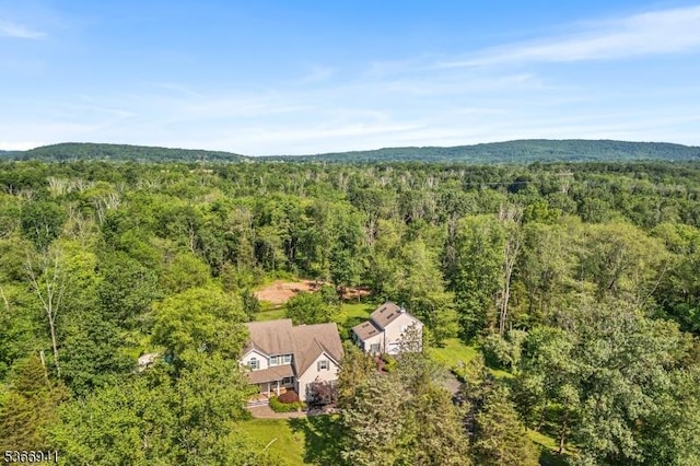 21 Partridge Rd, Readington Twp, NJ 08822 - view of subject property with a forest