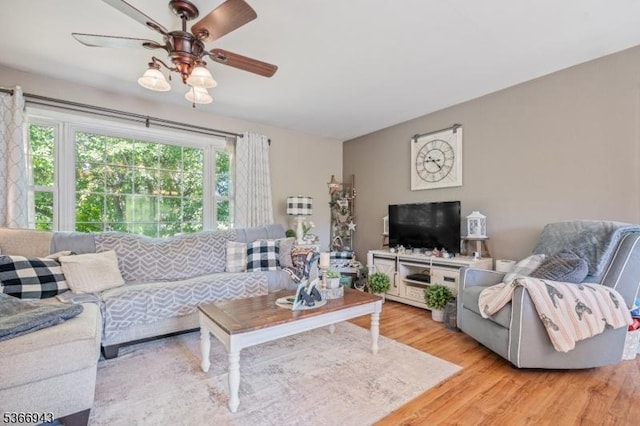 28 Old Beaver Run Rd, Lafayette Twp, NJ 07848 - living area with light wood-type flooring and ceiling fan