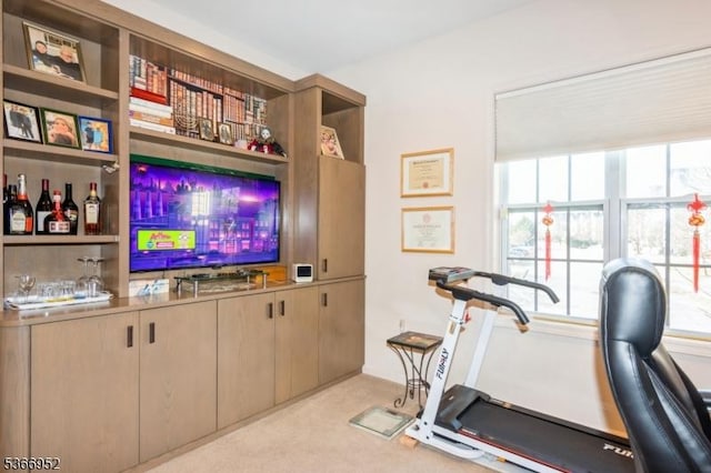 8202 Westover Way Unit 8202, Franklin Twp, NJ 08873 - indoor bar with carpet and plenty of natural light