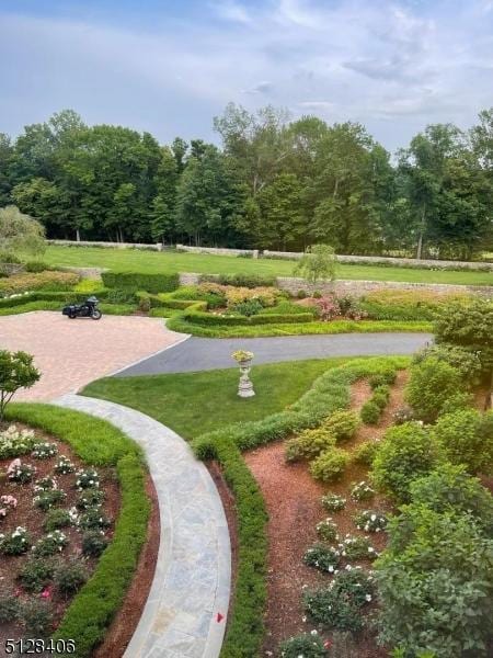 141 Mountaintop Rd, Bernardsville Boro, NJ 07924 - view of property's community