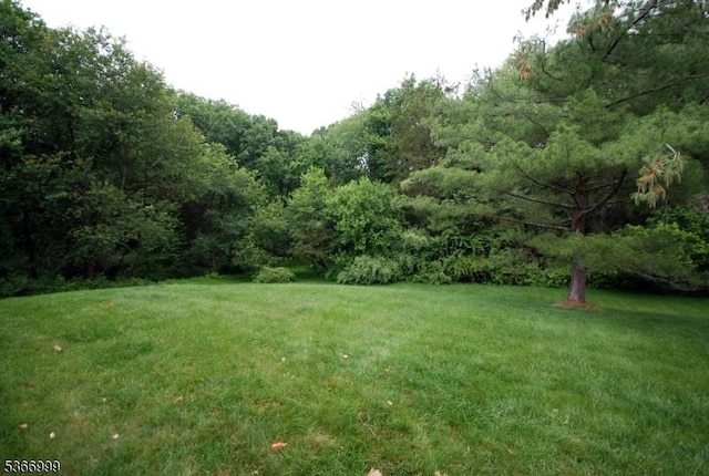 25 Watchung Trl, Branchburg Twp, NJ 08876 - view of green lawn