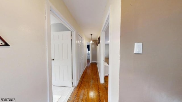 979 Lorraine Ave, Union Twp, NJ 07083 - hallway with wood finished floors