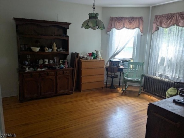 43 Main St, Hampton Boro, NJ 08827 - dining area featuring radiator heating unit and light wood-style floors