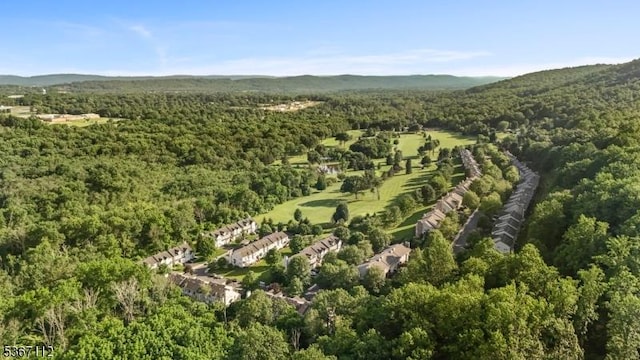 73 Pinehurst Dr, Washington Twp, NJ 07882 - aerial view of property and surrounding area featuring a forest