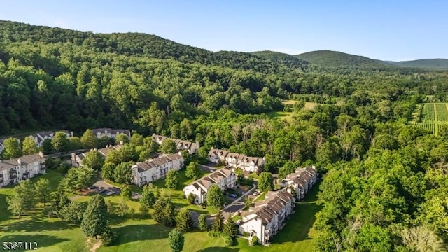 73 Pinehurst Dr, Washington Twp, NJ 07882 - drone / aerial view of a heavily wooded area and a mountain backdrop