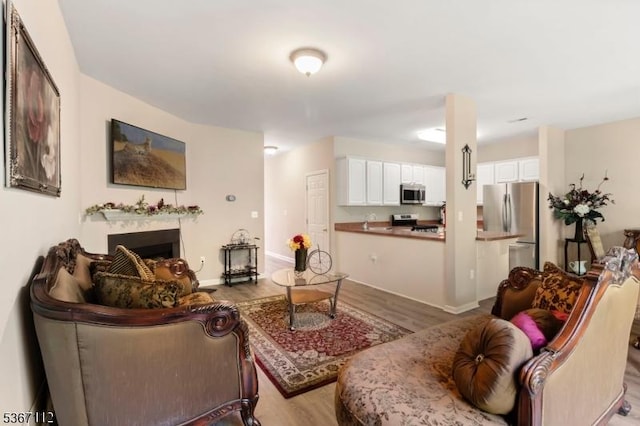 73 Pinehurst Dr, Washington Twp, NJ 07882 - living room featuring wood finished floors and a fireplace
