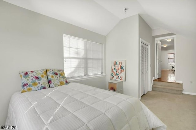 51 Carlisle Rd, Bernards Twp, NJ 07920 - bedroom with carpet, a closet, and vaulted ceiling