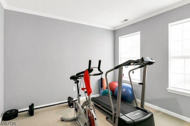 51 Carlisle Rd, Bernards Twp, NJ 07920 - workout room with crown molding and carpet