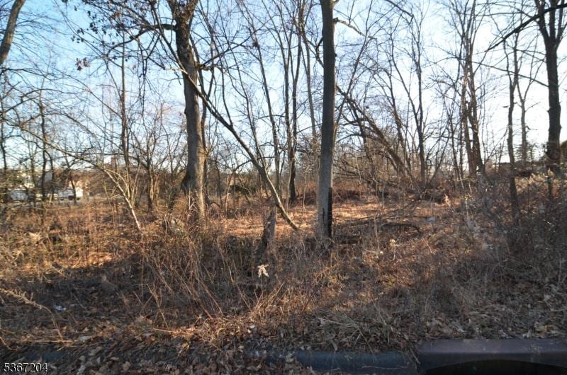 12 Corcoran St, Flemington Boro, NJ 08822
