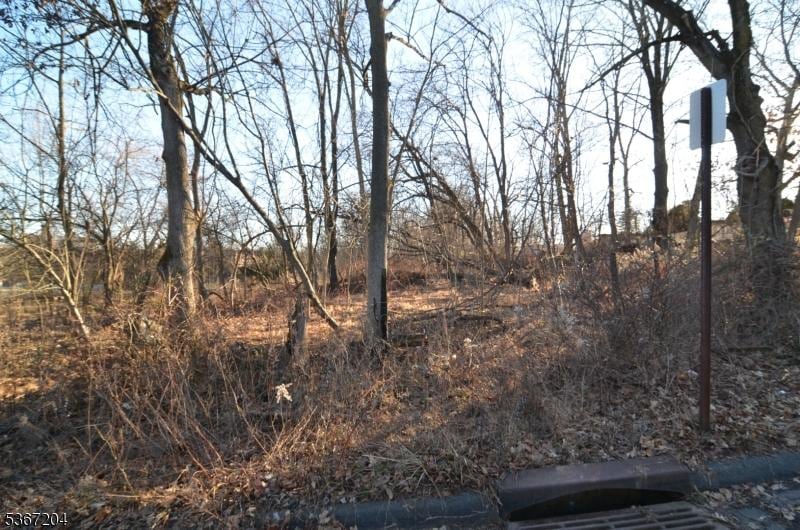 12 Corcoran St, Flemington Boro, NJ 08822
