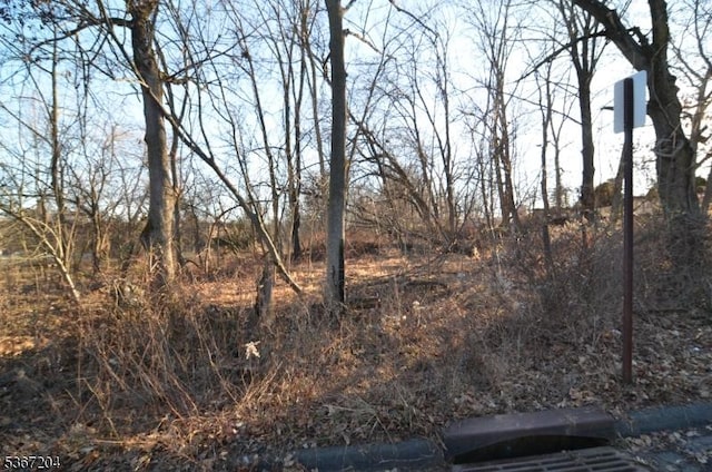 12 Corcoran St, Flemington Boro, NJ 08822