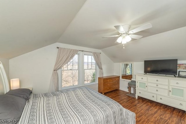 28 Middle Valley Rd, Washington Twp, NJ 07853 - bedroom with dark wood finished floors, lofted ceiling, and a ceiling fan