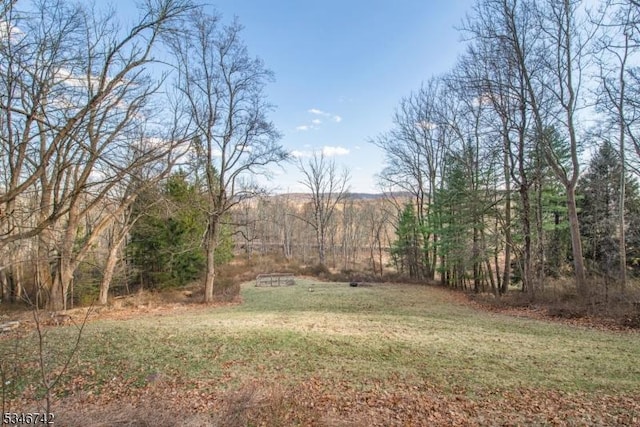 28 Middle Valley Rd, Washington Twp, NJ 07853 - view of grassy yard with a forest view